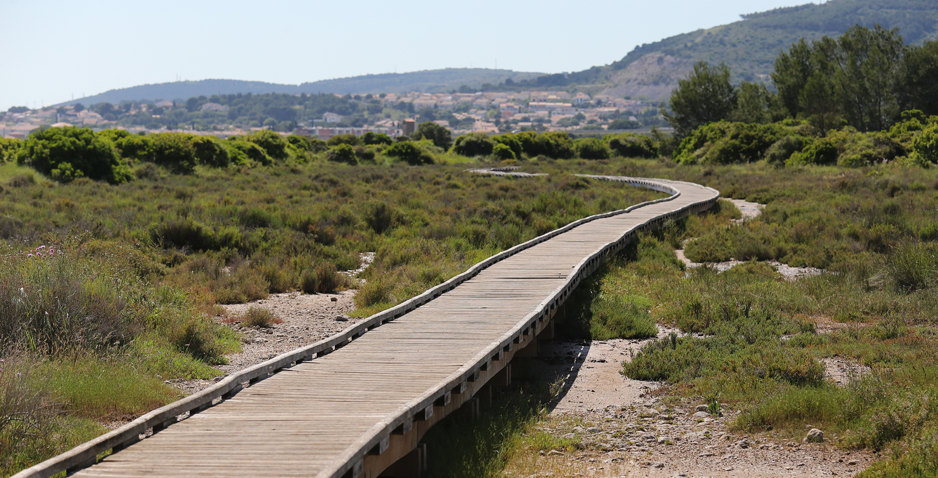 Landscape view of the aresquiers park, a protected natural area located in Vic La Gardiole township, Herault department, Occitanie region, France. May, 17, 2020. Wooden leading pathway in the nature.